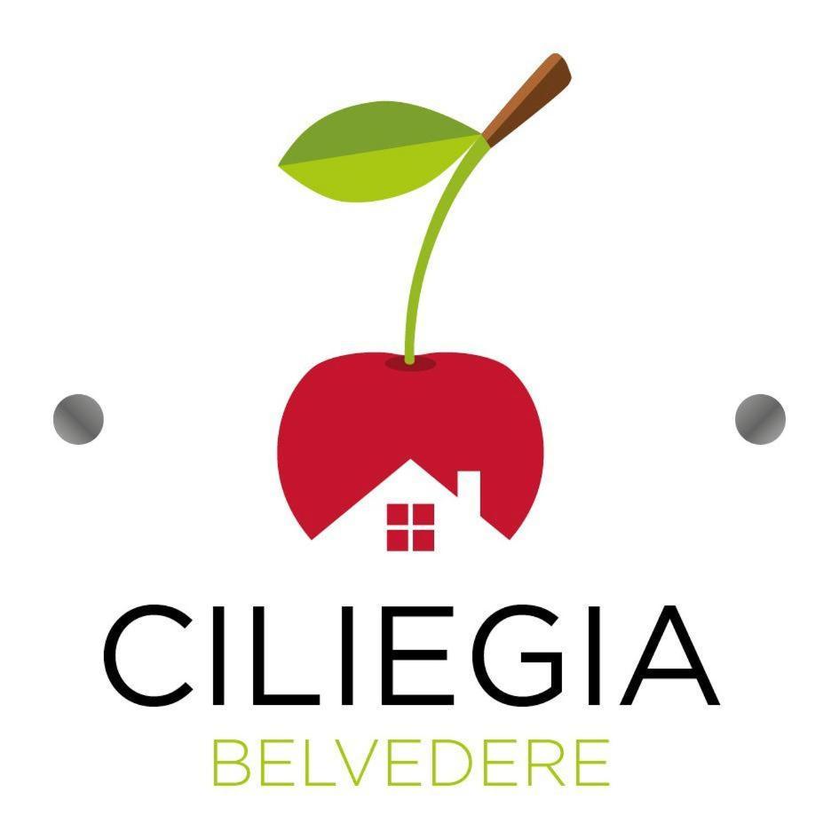 Villa Ciliegia Di Lari - Attico Exterior foto